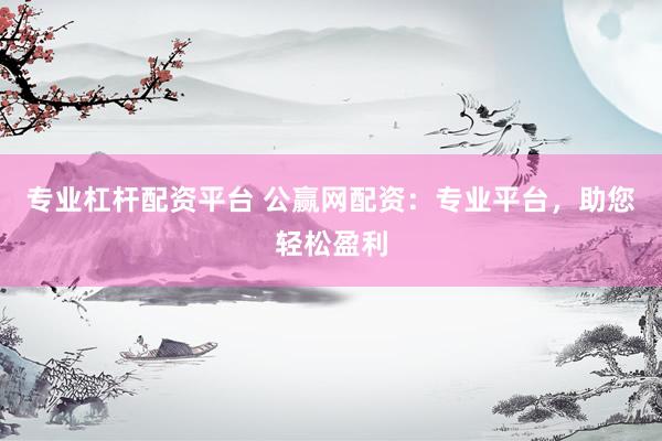 专业杠杆配资平台 公赢网配资：专业平台，助您轻松盈利