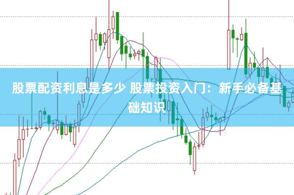 股票配资利息是多少 股票投资入门：新手必备基础知识