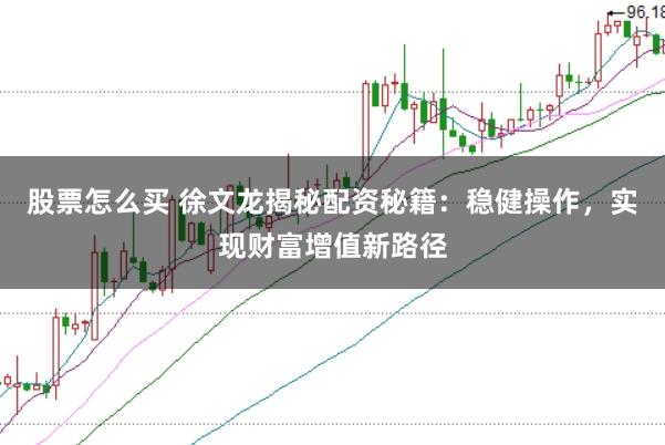 股票怎么买 徐文龙揭秘配资秘籍：稳健操作，实现财富增值新路径