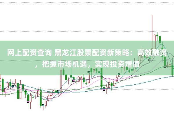 网上配资查询 黑龙江股票配资新策略：高效融资，把握市场机遇，实现投资增值