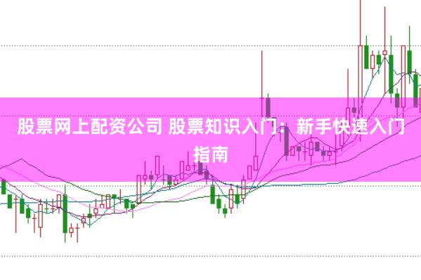 股票网上配资公司 股票知识入门：新手快速入门指南