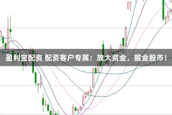 盈利宝配资 配资客户专属：放大资金，掘金股市！