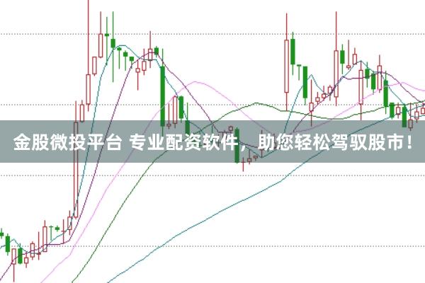金股微投平台 专业配资软件，助您轻松驾驭股市！