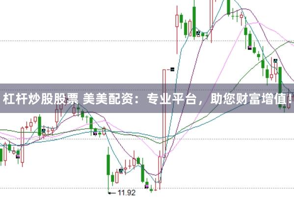杠杆炒股股票 美美配资：专业平台，助您财富增值！