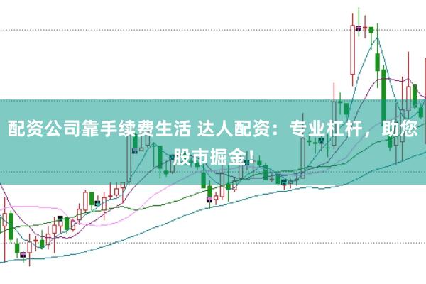配资公司靠手续费生活 达人配资：专业杠杆，助您股市掘金！