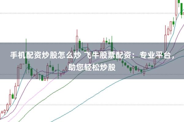 手机配资炒股怎么炒 飞牛股票配资：专业平台，助您轻松炒股