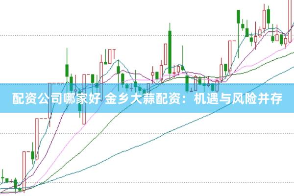 配资公司哪家好 金乡大蒜配资：机遇与风险并存