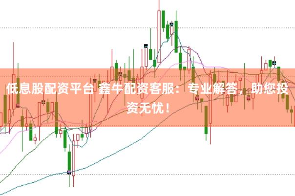 低息股配资平台 鑫牛配资客服：专业解答，助您投资无忧！