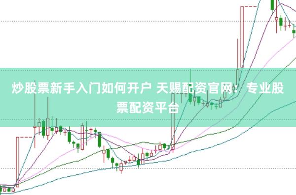 炒股票新手入门如何开户 天赐配资官网：专业股票配资平台