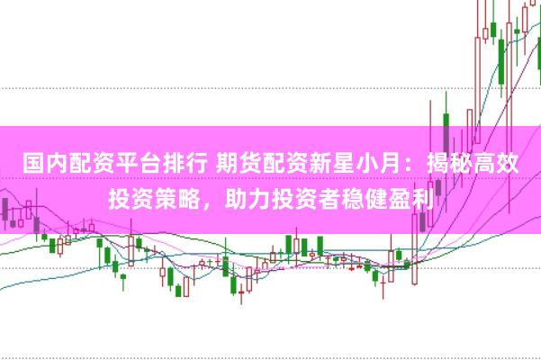 国内配资平台排行 期货配资新星小月：揭秘高效投资策略，助力投资者稳健盈利
