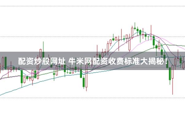 配资炒股网址 牛米网配资收费标准大揭秘！