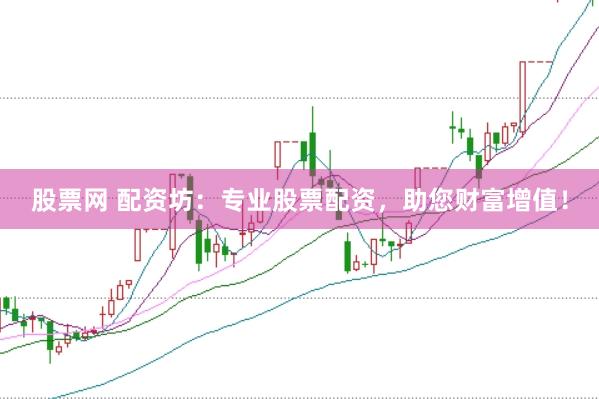 股票网 配资坊：专业股票配资，助您财富增值！