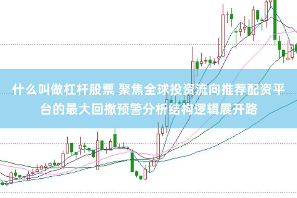 什么叫做杠杆股票 聚焦全球投资流向推荐配资平台的最大回撤预警分析结构逻辑展开路